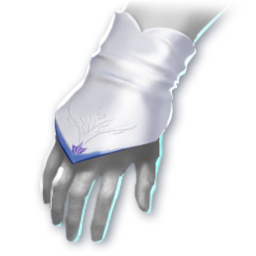 Salvation's Grace (Skin: Gloves) (Bound)