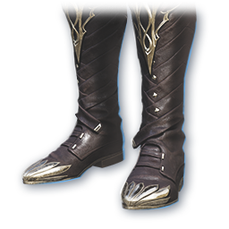 Skilled Professional (Skin: Boots) (Bound)