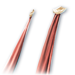 Crimson Twilight Gown (Skin: Cloak) (Bound)