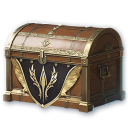 Splendent Skin Chest (10 times) (Bound)