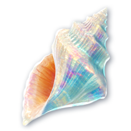 Iridescent Conch Shell (Event)
