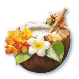 Sweet Refreshing Coconut Water (Bound)
