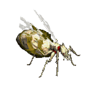 거대 여왕 개미